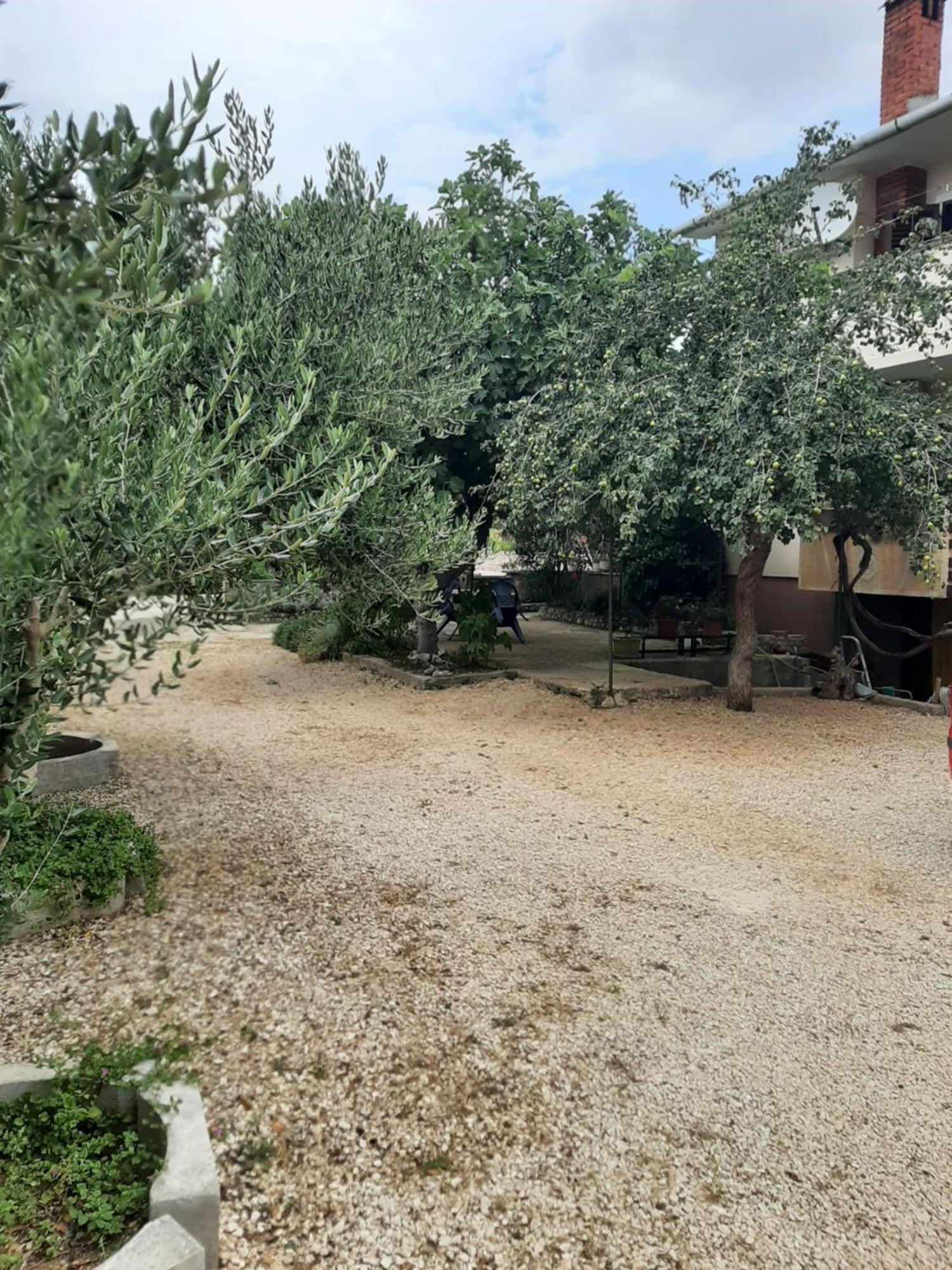 Apartmani Marija Povljana Camera foto