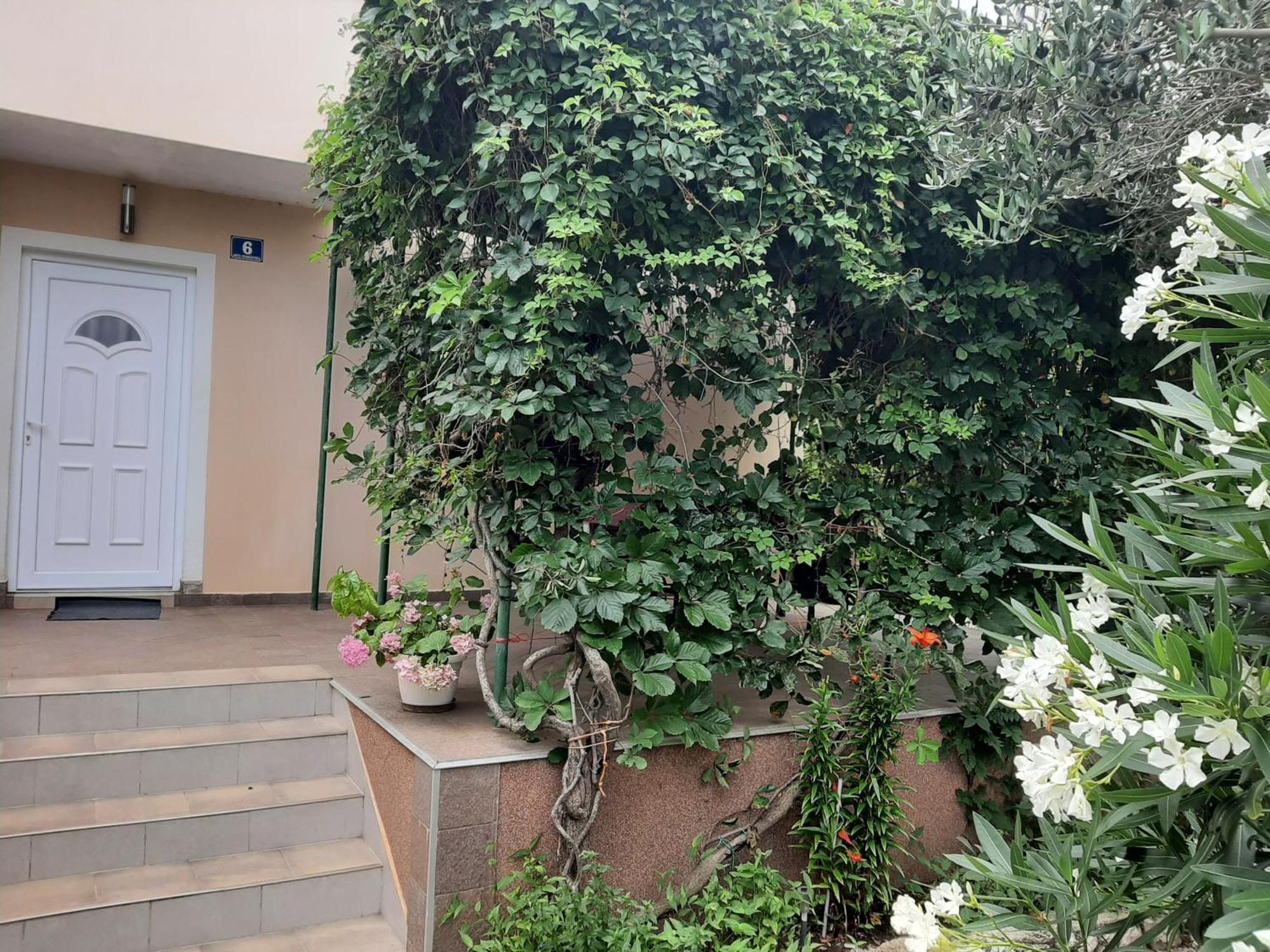 Apartmani Marija Povljana Camera foto