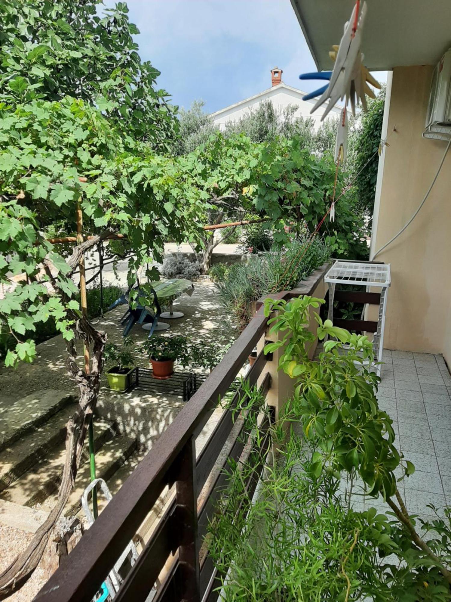 Apartmani Marija Povljana Camera foto