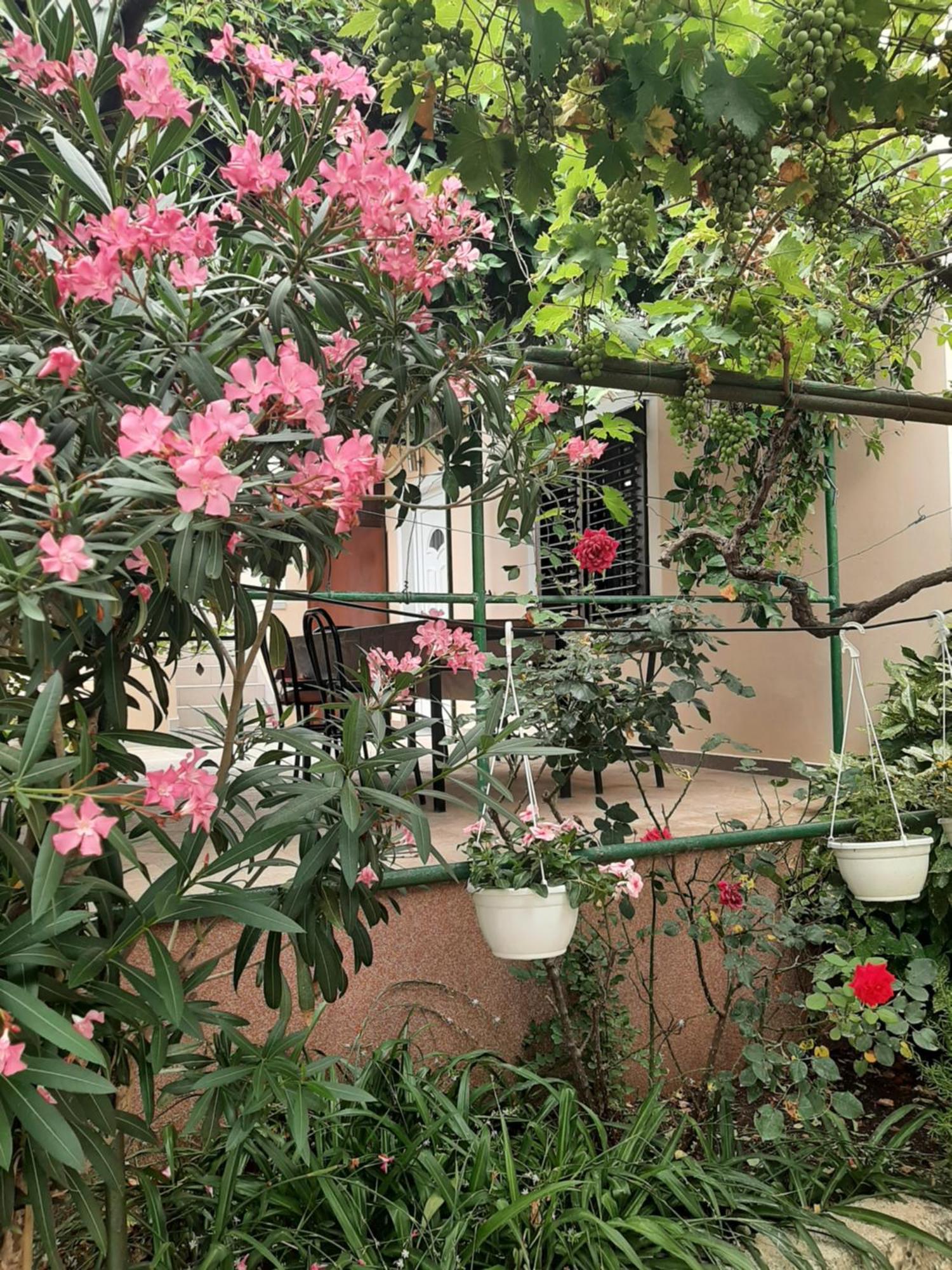 Apartmani Marija Povljana Camera foto