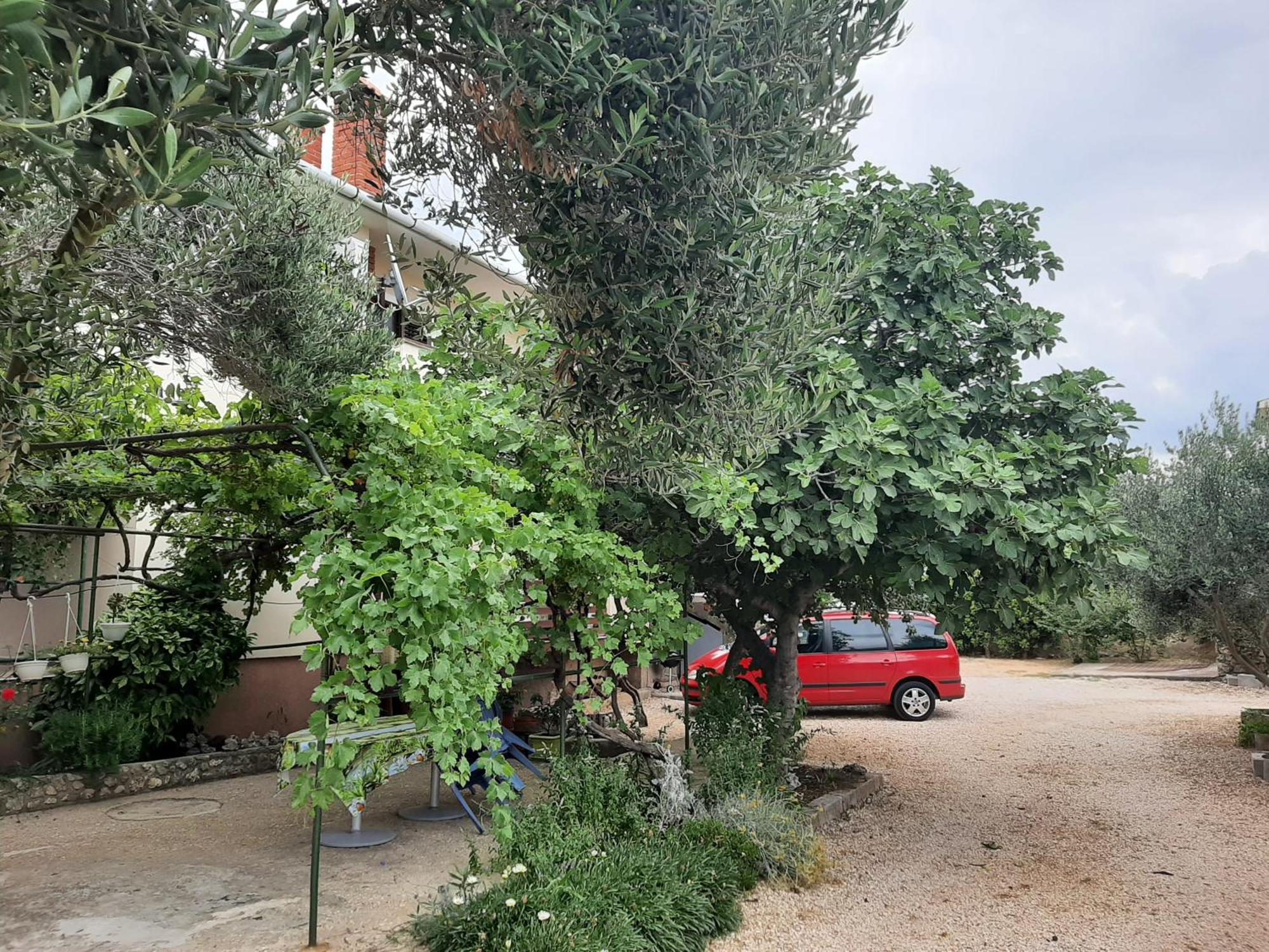 Apartmani Marija Povljana Camera foto