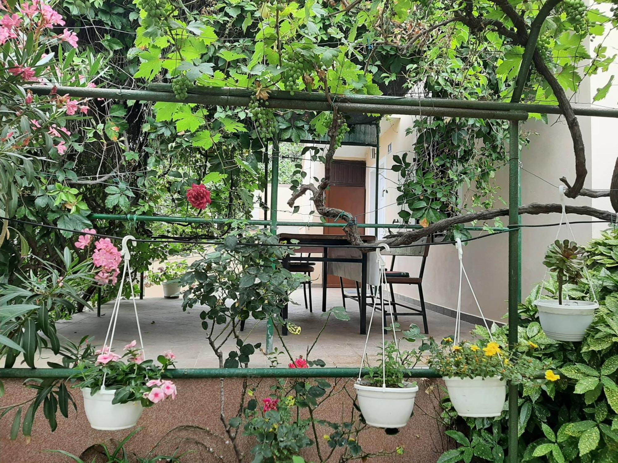 Apartmani Marija Povljana Camera foto