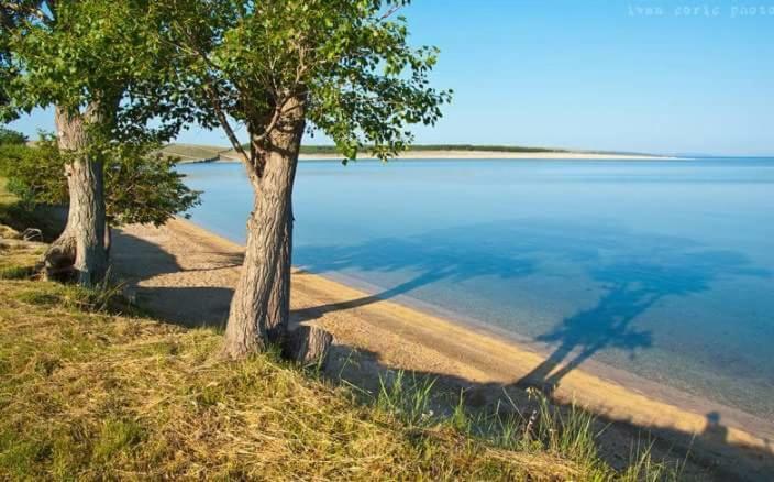Apartmani Marija Povljana Esterno foto