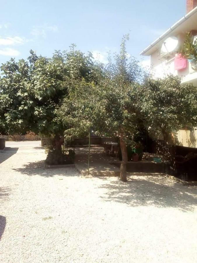 Apartmani Marija Povljana Esterno foto